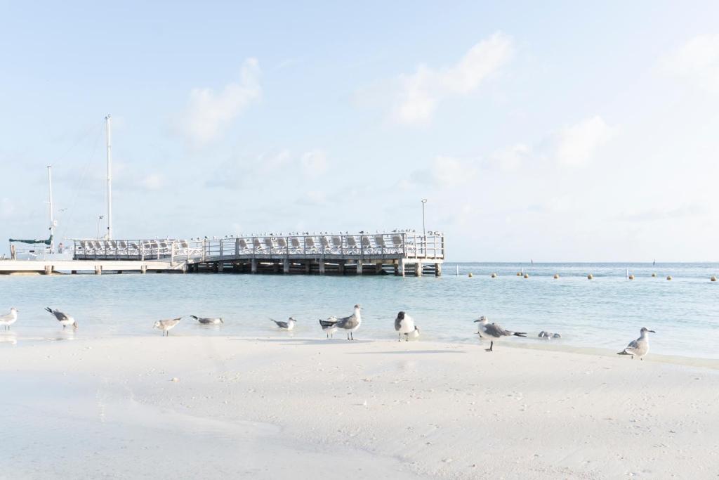 Cancun Bay - Image 3