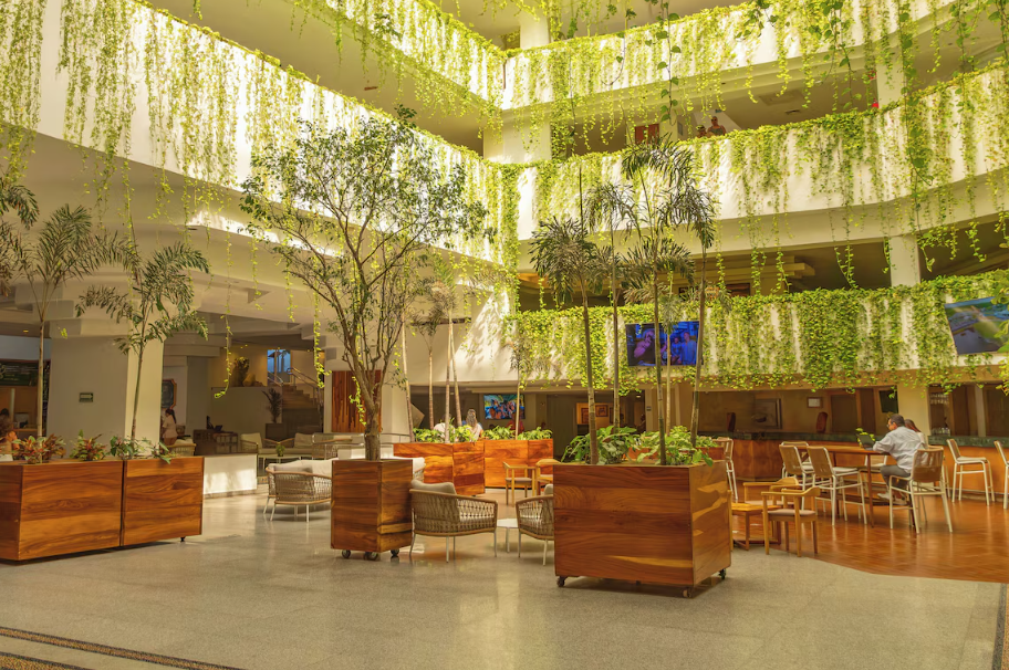 Friendly and Fun Vallarta - Image 4